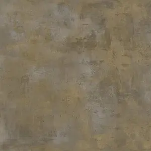  Cristiana Masi Contract 7459 -  1
