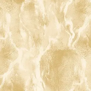  Cristiana Masi Cromie 42572 -  1