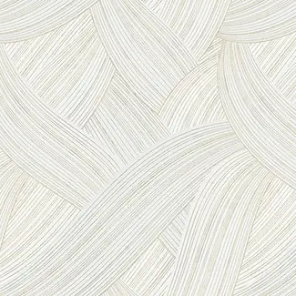  Cristiana Masi Cromie 49331 -  1