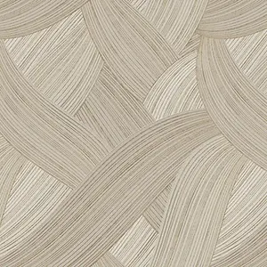  Cristiana Masi Cromie 49334 -  1