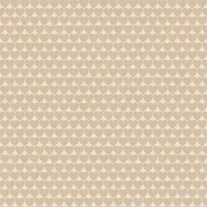  Cristiana Masi Mondo Baby 13040 -  1