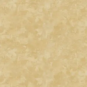 Cristiana Masi Romana 6142 -  1