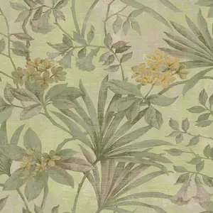  Cristiana Masi Tendenza 3705 -  1