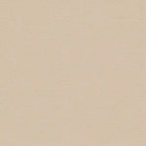 Обои DID Trend Art R75027-5 - фото 1