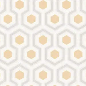  DID Trend Art R75029-1 -  1