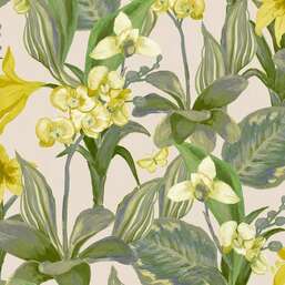 ���� Decoprint  Breeze  BR24082