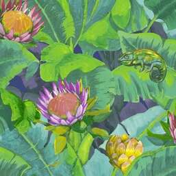 ���� Decoprint  Breeze  BR24092