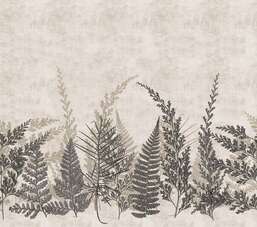 ���� Decoprint  Herbarium HED27292