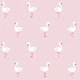  BN Sweet Dreams ND21121