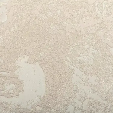  Decori&Decori Forte Dei Marmi 2  82696 -  1