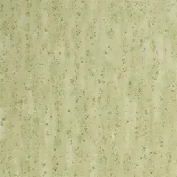  Designers Guild Zardozi PDG1063-06