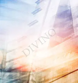  Divino ����������, ������ LRB-0218-1-124