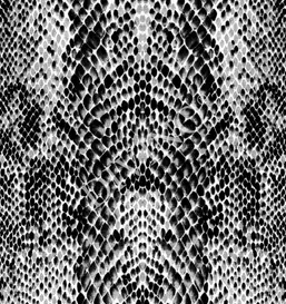  Divino ,  LRB-0308-1-124