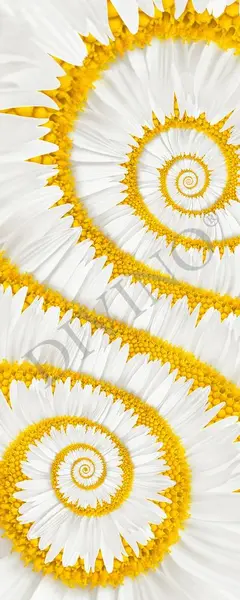  Divino ����������, ������ MRB-0111-3-47