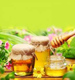 Рулонные шторы Divino Bon Appetit LRB-0052-1-124