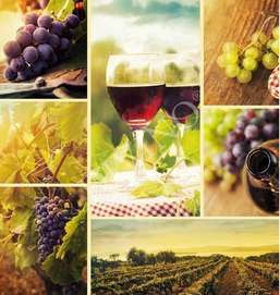 Рулонные шторы Divino Bon Appetit LRB-0054-1-124