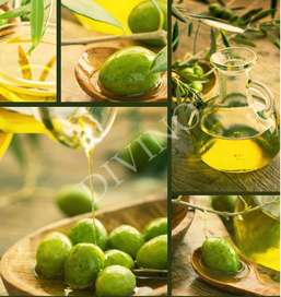 Рулонные шторы Divino Bon Appetit LRB-0055-1-124