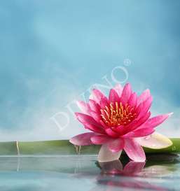   Divino  LRB-0159-1-124