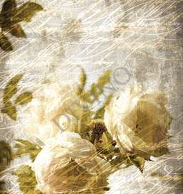   Divino  LRB-0169-1-124