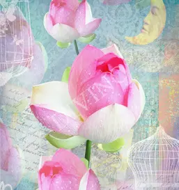  Divino  LRB-0170-1-124