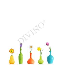   Divino  LRB-0172-1-124