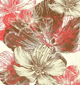  Divino  LRB-0173-1-124