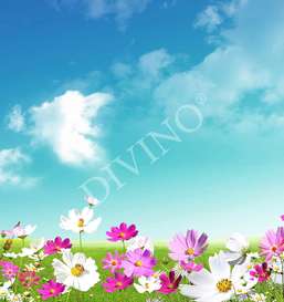   Divino  LRB-0175-1-124