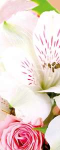   Divino  MRB-0210-3-47