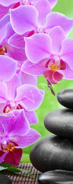  Divino ����� MRB-0222-3-47