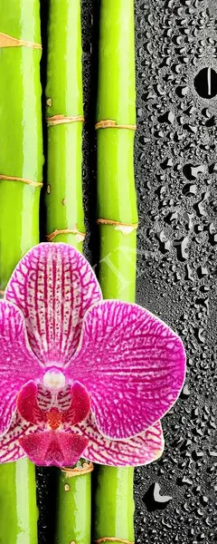  Divino ����� MRB-0224-3-47