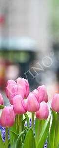   Divino  MRB-0226-3-47
