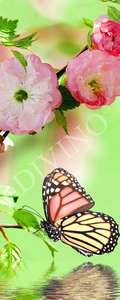   Divino  MRB-0227-3-47