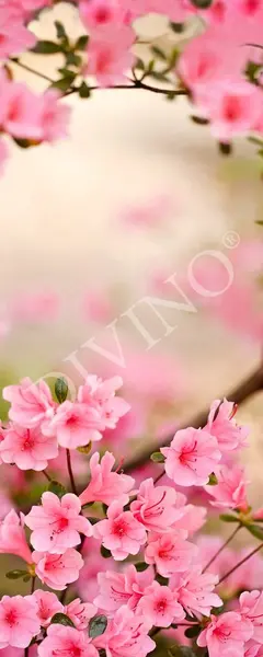  Divino  MRB-0228-3-47