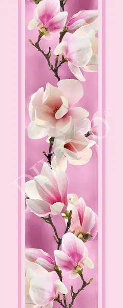  Divino  MRB-0233-3-47