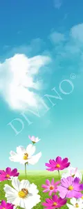   Divino  MRB-0236-2-56 -  1