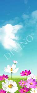   Divino  MRB-0236-3-47