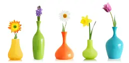  Divino Decor 1.47*3 D2-028