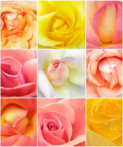 Фотообои Divino Decor 2.38*2 A1-039 - фото 1