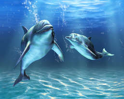  Divino Decor 2.38*3 D2-064