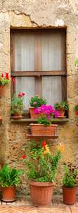  Divino Decor 2.70*1 A1-091