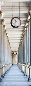 Фотообои Divino Decor 2.70*1 C1-280 - фото 1