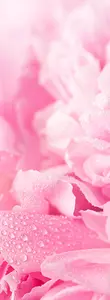 Фотообои Divino Decor 2.70*1 C1-288 - фото 1