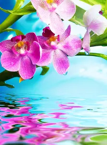 Фотообои Divino Decor 2.70*2 B1-096 - фото 1