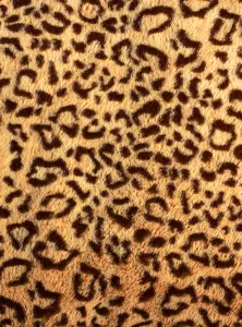  Divino Decor 2.70*2 C1-184 -  1