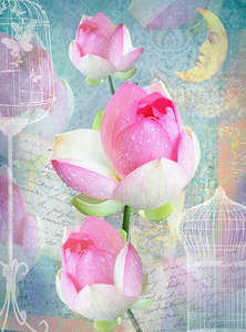  Divino Decor 2.70*2 D2-111