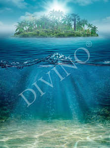  Divino Decor 2.70*2 E1-003