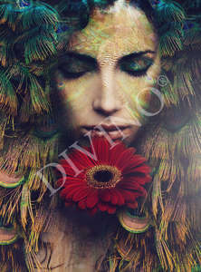  Divino Decor 2.70*2 E1-075