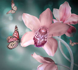 Фотообои Divino Decor 2.70*3 A1-030
