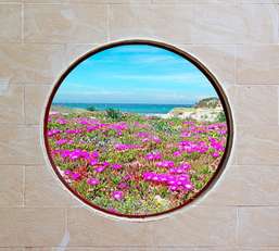  Divino Decor 2.70*3 D2-087