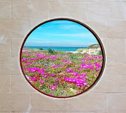  Divino Decor 2.70*3 D2-087